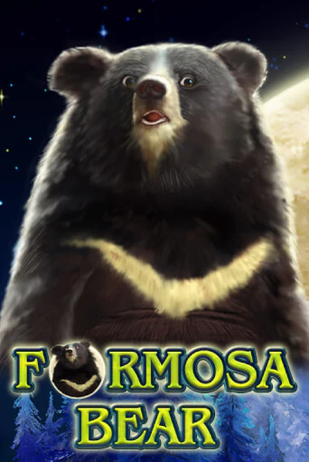 Formosa Bear - играть онлайн | Вулкан Вегас Беларусь - без регистрации