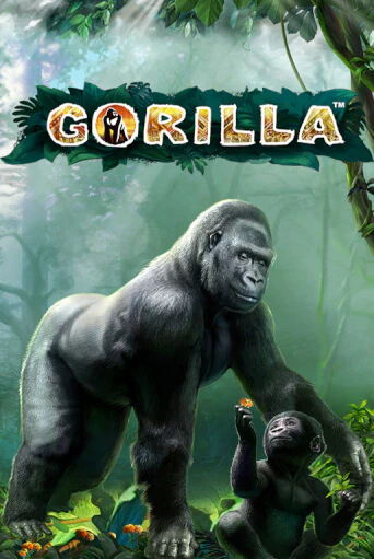 Gorilla - играть онлайн | Вулкан Вегас Беларусь - без регистрации