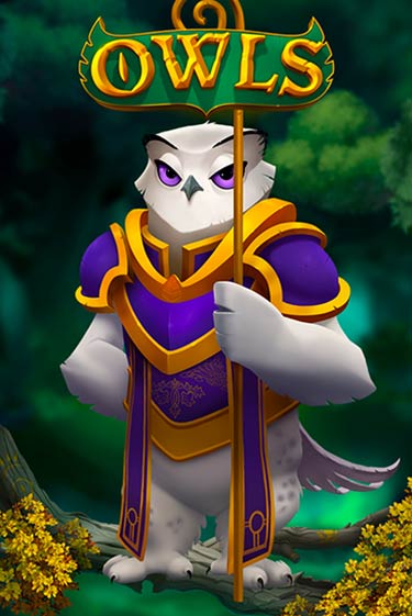 Owls - играть онлайн | Вулкан Вегас Беларусь - без регистрации