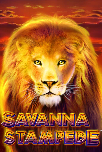 Savanna Stampede - играть онлайн | Вулкан Вегас Беларусь - без регистрации