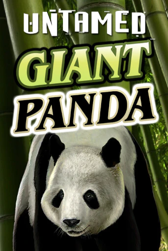 Untamed - Giant Panda - играть онлайн | Вулкан Вегас Беларусь - без регистрации