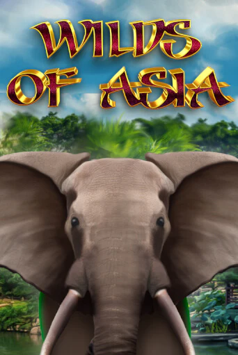 Wilds of Asia - играть онлайн | Вулкан Вегас Беларусь - без регистрации
