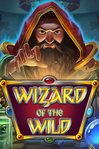Wizard of the Wild - играть онлайн | Вулкан Вегас Беларусь - без регистрации