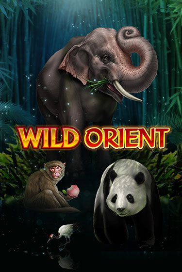 Wild Orient - играть онлайн | Вулкан Вегас Беларусь - без регистрации